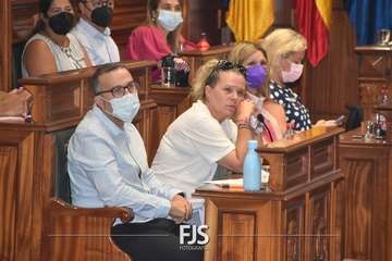 Pleno ordinario de julio de 2022/Francisco Javier Santana.